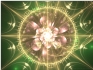 A dusty pink flower in a gold radiant dial on a green background.